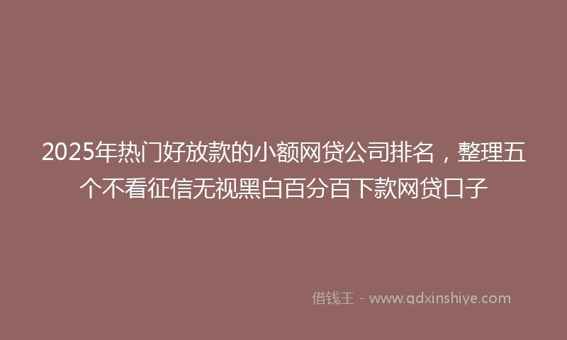 2025年热门好放款的小额网贷公司排名，整理五个不看征信无视黑白百分百下款网贷口子