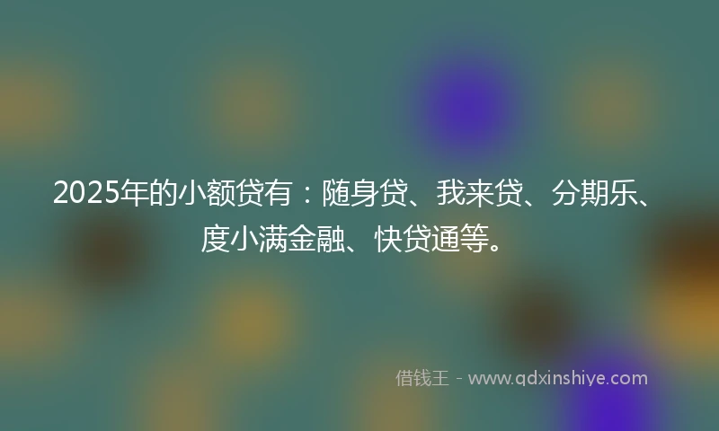 2025年的小额贷有：随身贷、我来贷、分期乐、度小满金融、快贷通等。