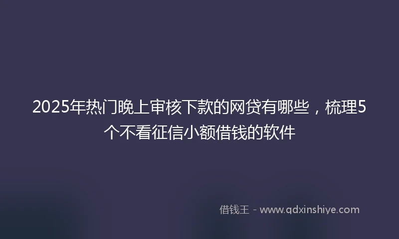 2025年热门晚上审核下款的网贷有哪些，梳理5个不看征信小额借钱的软件