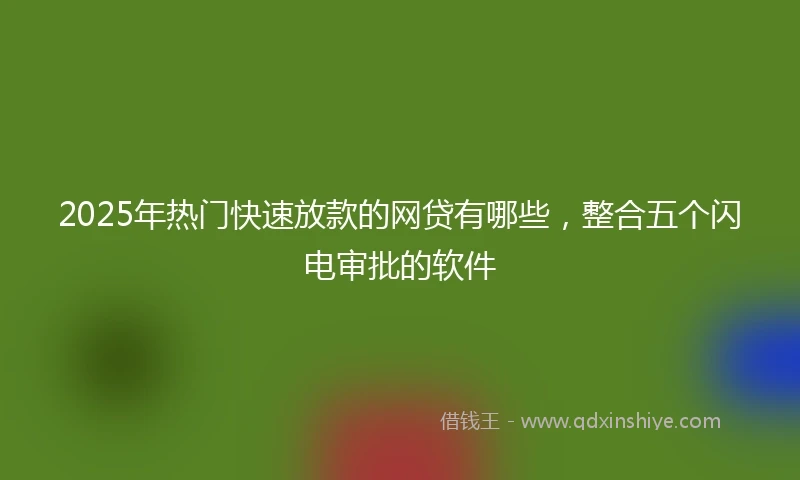 2025年热门快速放款的网贷有哪些，整合五个闪电审批的软件