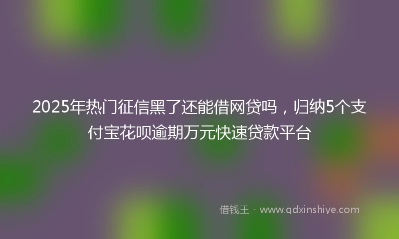 2025年热门征信黑了还能借网贷吗，归纳5个支付宝花呗逾期万元快速贷款平台