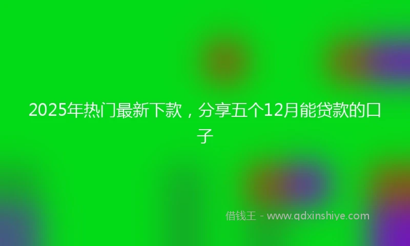 2025年热门最新下款，分享五个12月能贷款的口子