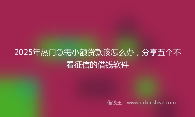 2025年热门急需小额贷款该怎么办，分享五个不看征信的借钱软件