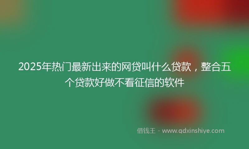 2025年热门最新出来的网贷叫什么贷款，整合五个贷款好做不看征信的软件