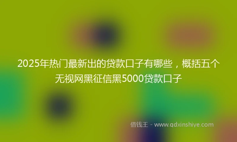 2025年热门最新出的贷款口子有哪些，概括五个无视网黑征信黑5000贷款口子