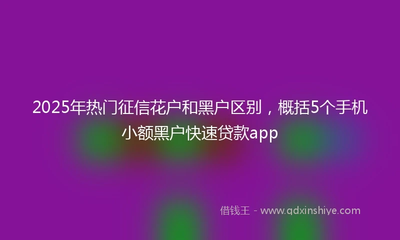 2025年热门征信花户和黑户区别，概括5个手机小额黑户快速贷款app