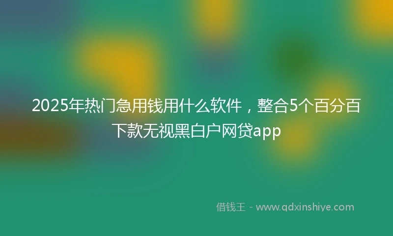 2025年热门急用钱用什么软件，整合5个百分百下款无视黑白户网贷app