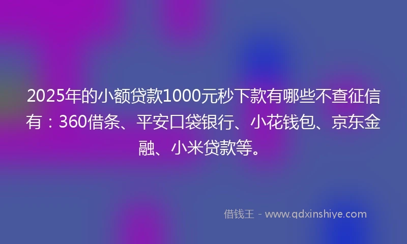 2025年的小额贷款1000元秒下款有哪些不查征信有：360借条、平安口袋银行、小花钱包、京东金融、小米贷款等。