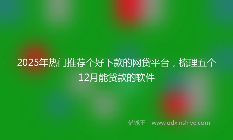 2025年热门推荐个好下款的网贷平台，梳理五个12月能贷款的软件