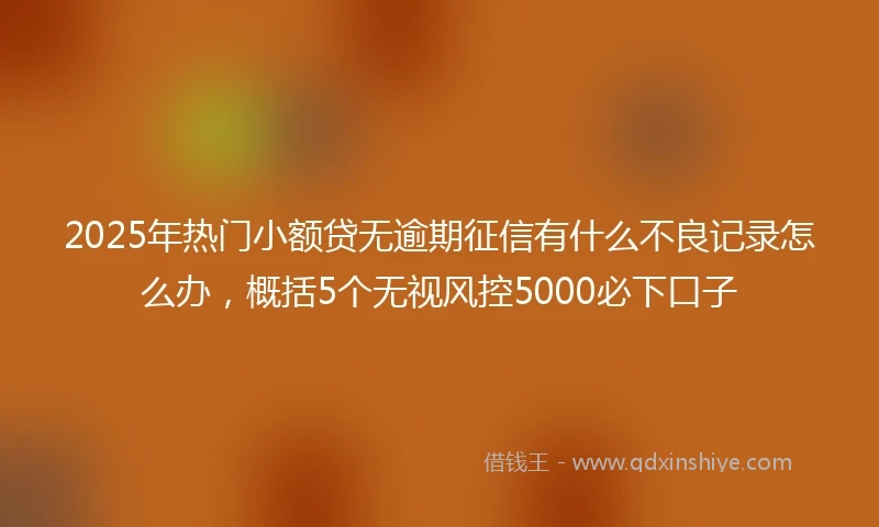2025年热门小额贷无逾期征信有什么不良记录怎么办，概括5个无视风控5000必下口子