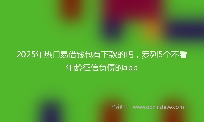 2025年热门易借钱包有下款的吗，罗列5个不看年龄征信负债的app