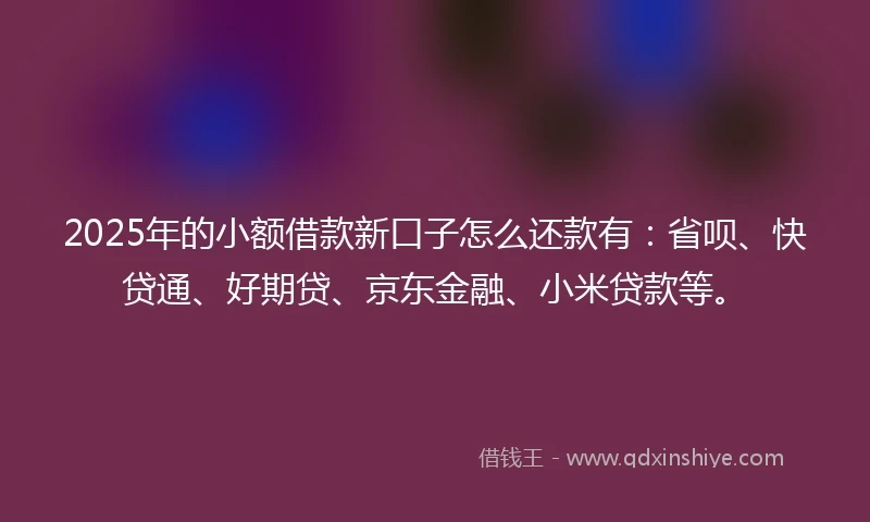 2025年的小额借款新口子怎么还款有：省呗、快贷通、好期贷、京东金融、小米贷款等。