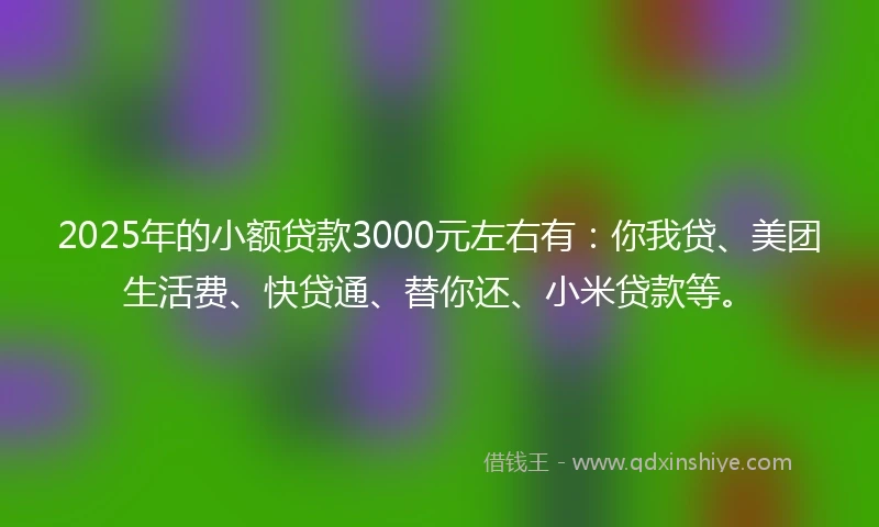 2025年的小额贷款3000元左右有：你我贷、美团生活费、快贷通、替你还、小米贷款等。