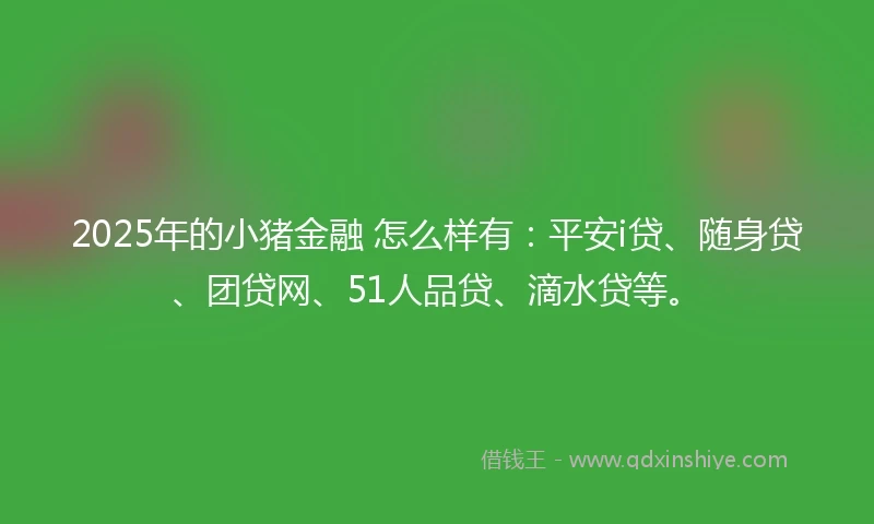 2025年的小猪金融 怎么样有：平安i贷、随身贷、团贷网、51人品贷、滴水贷等。