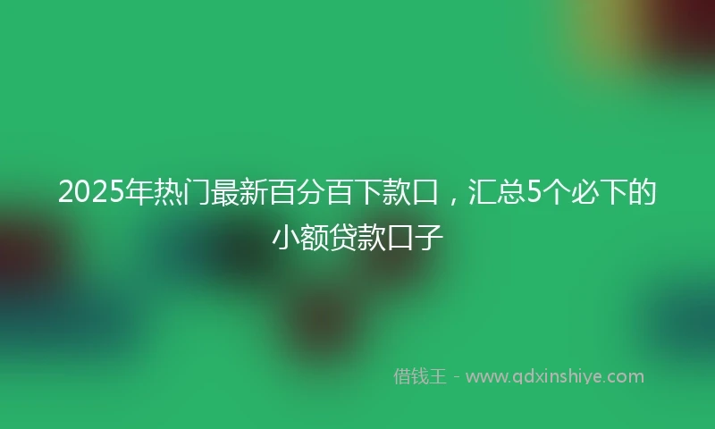 2025年热门最新百分百下款口，汇总5个必下的小额贷款口子
