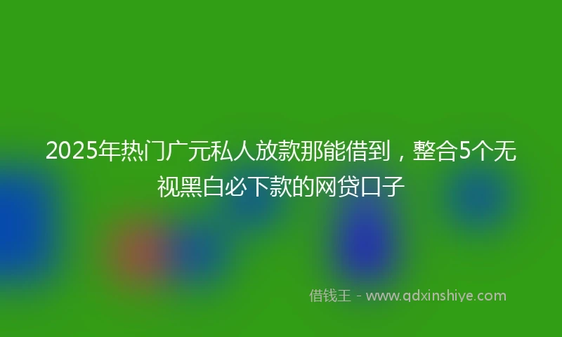 2025年热门广元私人放款那能借到，整合5个无视黑白必下款的网贷口子