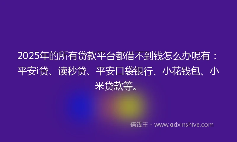 2025年的所有贷款平台都借不到钱怎么办呢有：平安i贷、读秒贷、平安口袋银行、小花钱包、小米贷款等。