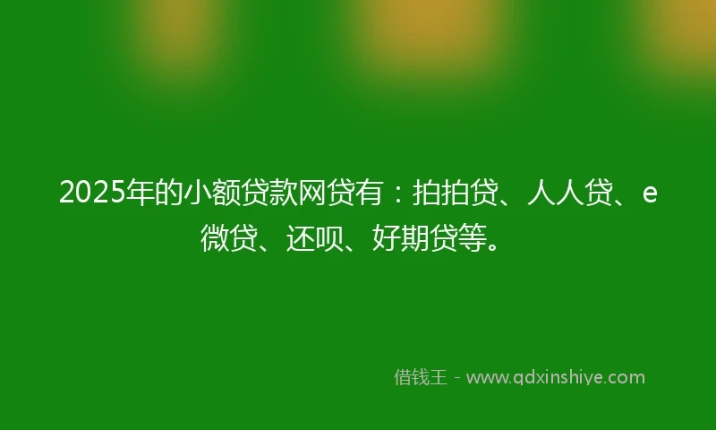 2025年的小额贷款网贷有：拍拍贷、人人贷、e微贷、还呗、好期贷等。