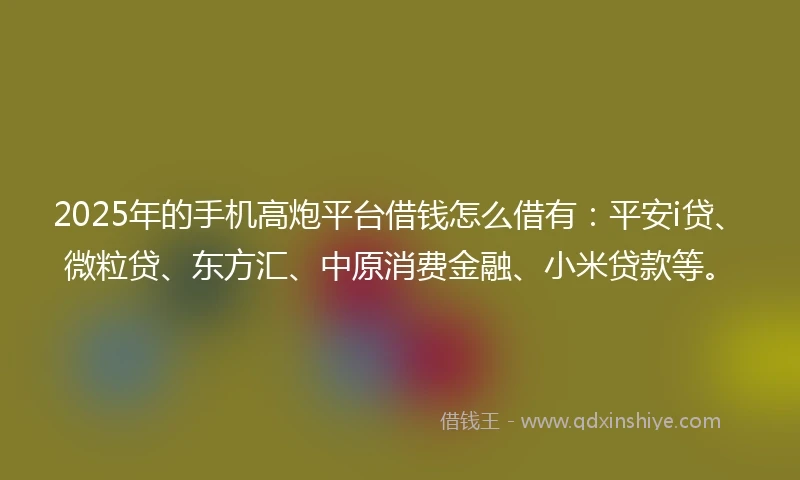 2025年的手机高炮平台借钱怎么借有：平安i贷、微粒贷、东方汇、中原消费金融、小米贷款等。