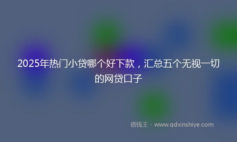 2025年热门小贷哪个好下款，汇总五个无视一切的网贷口子