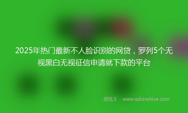 2025年热门最新不人脸识别的网贷，罗列5个无视黑白无视征信申请就下款的平台