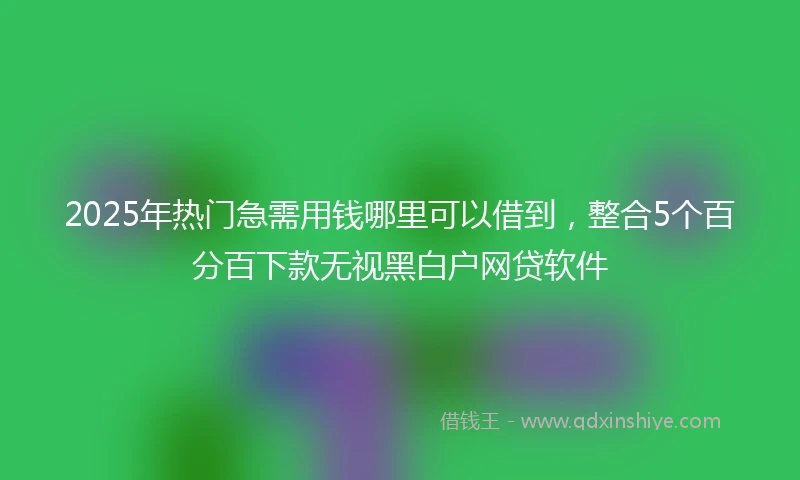 2025年热门急需用钱哪里可以借到，整合5个百分百下款无视黑白户网贷软件
