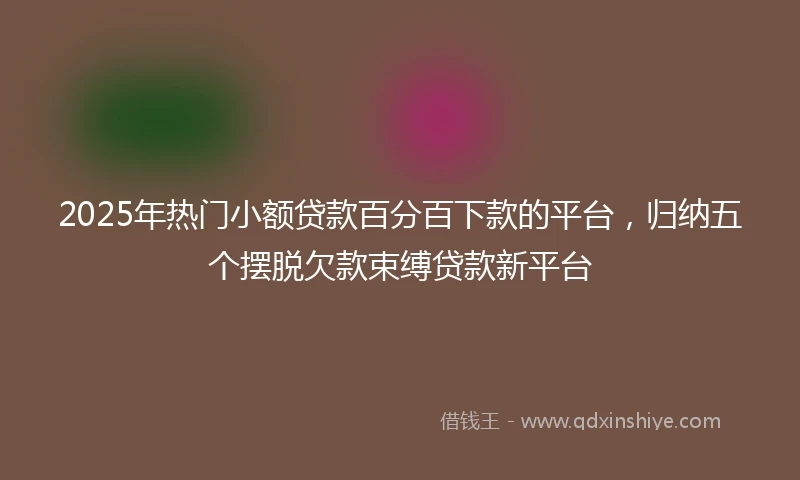 2025年热门小额贷款百分百下款的平台，归纳五个摆脱欠款束缚贷款新平台