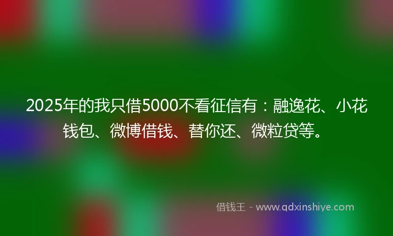 2025年的我只借5000不看征信有：融逸花、小花钱包、微博借钱、替你还、微粒贷等。