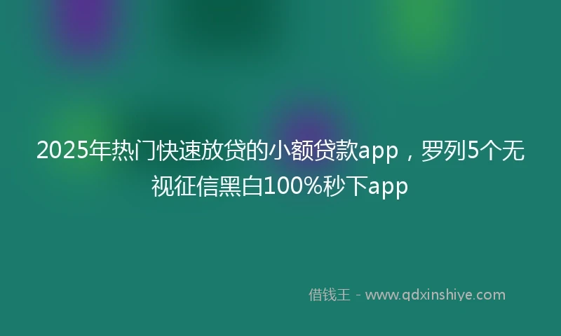 2025年热门快速放贷的小额贷款app，罗列5个无视征信黑白100%秒下app