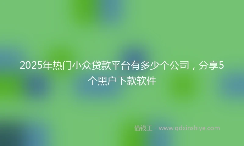 2025年热门小众贷款平台有多少个公司，分享5个黑户下款软件