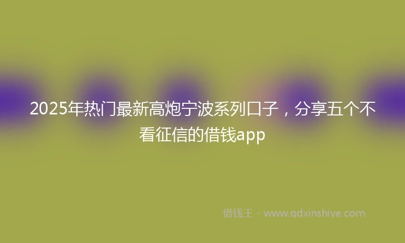 2025年热门最新高炮宁波系列口子，分享五个不看征信的借钱app