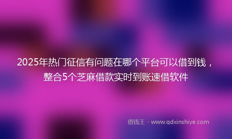 2025年热门征信有问题在哪个平台可以借到钱，整合5个芝麻借款实时到账速借软件