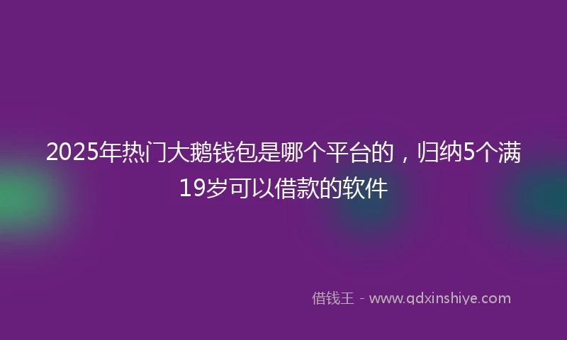 2025年热门大鹅钱包是哪个平台的，归纳5个满19岁可以借款的软件