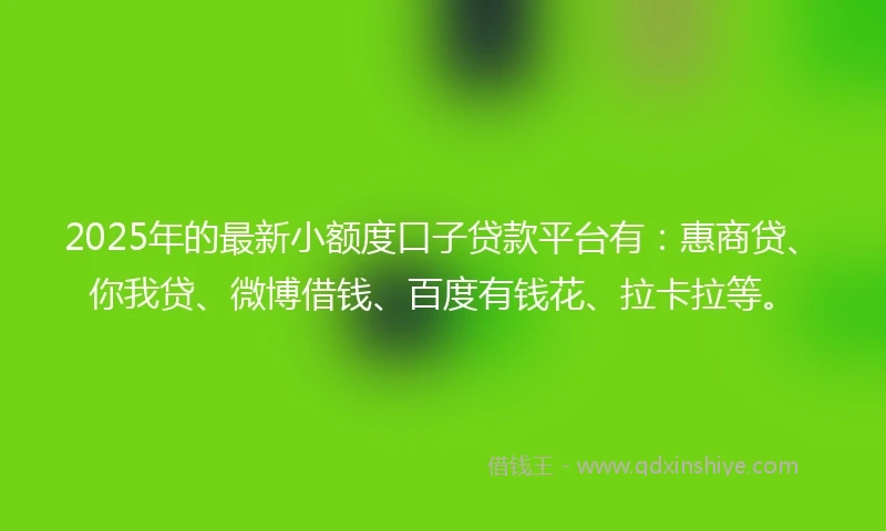 2025年的最新小额度口子贷款平台有：惠商贷、你我贷、微博借钱、百度有钱花、拉卡拉等。