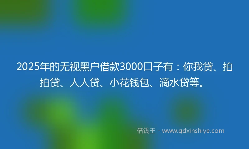 2025年的无视黑户借款3000口子有：你我贷、拍拍贷、人人贷、小花钱包、滴水贷等。