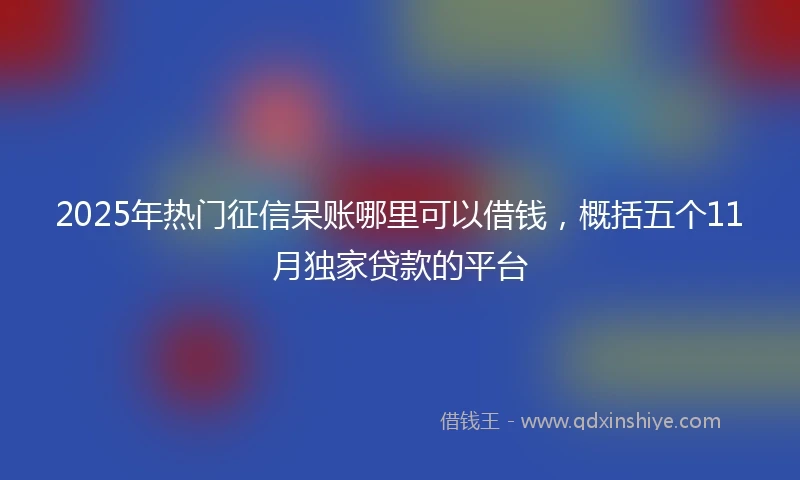 2025年热门征信呆账哪里可以借钱，概括五个11月独家贷款的平台