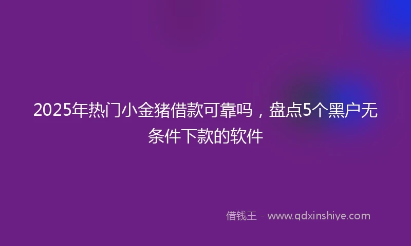 2025年热门小金猪借款可靠吗，盘点5个黑户无条件下款的软件