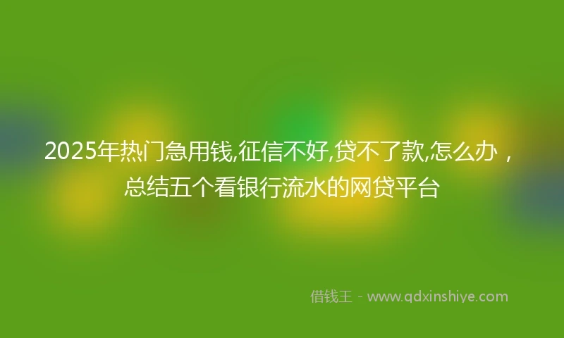 2025年热门急用钱,征信不好,贷不了款,怎么办，总结五个看银行流水的网贷平台