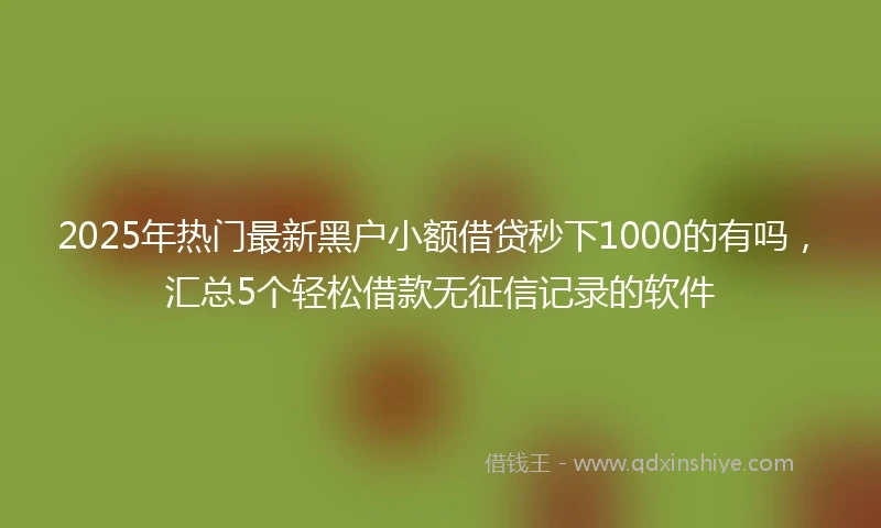 2025年热门最新黑户小额借贷秒下1000的有吗，汇总5个轻松借款无征信记录的软件