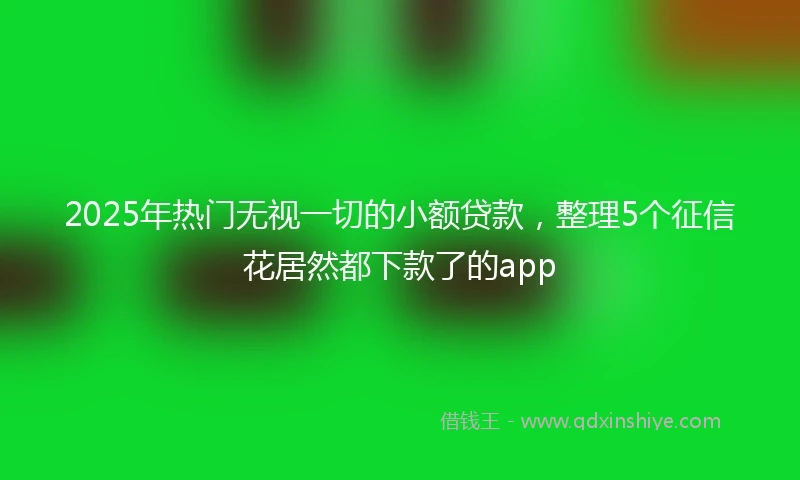 2025年热门无视一切的小额贷款，整理5个征信花居然都下款了的app