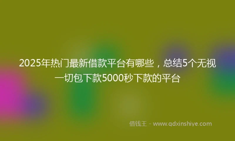 2025年热门最新借款平台有哪些，总结5个无视一切包下款5000秒下款的平台