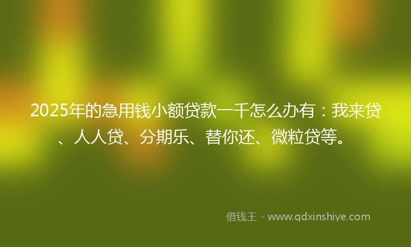 2025年的急用钱小额贷款一千怎么办有：我来贷、人人贷、分期乐、替你还、微粒贷等。