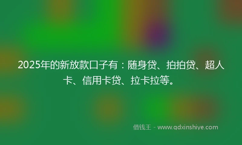 2025年的新放款口子有：随身贷、拍拍贷、超人卡、信用卡贷、拉卡拉等。