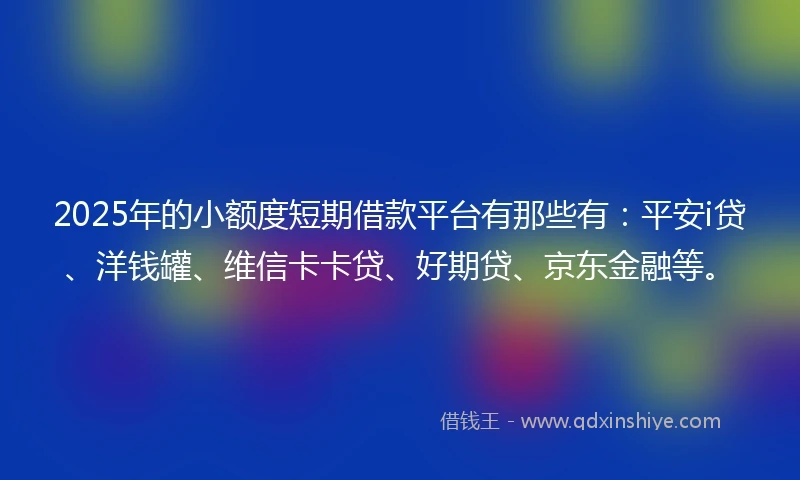 2025年的小额度短期借款平台有那些有：平安i贷、洋钱罐、维信卡卡贷、好期贷、京东金融等。
