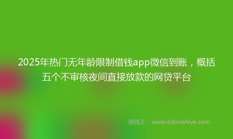 2025年热门无年龄限制借钱app微信到账，概括五个不审核夜间直接放款的网贷平台