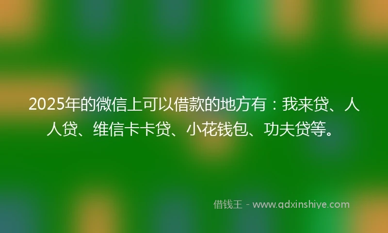 2025年的微信上可以借款的地方有：我来贷、人人贷、维信卡卡贷、小花钱包、功夫贷等。