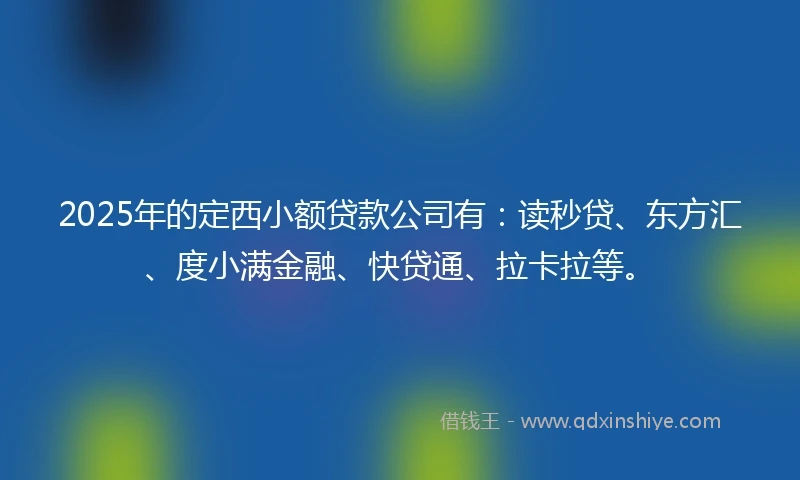 2025年的定西小额贷款公司有：读秒贷、东方汇、度小满金融、快贷通、拉卡拉等。