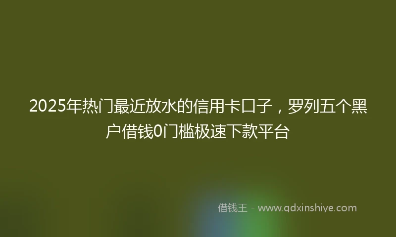2025年热门最近放水的信用卡口子，罗列五个黑户借钱0门槛极速下款平台