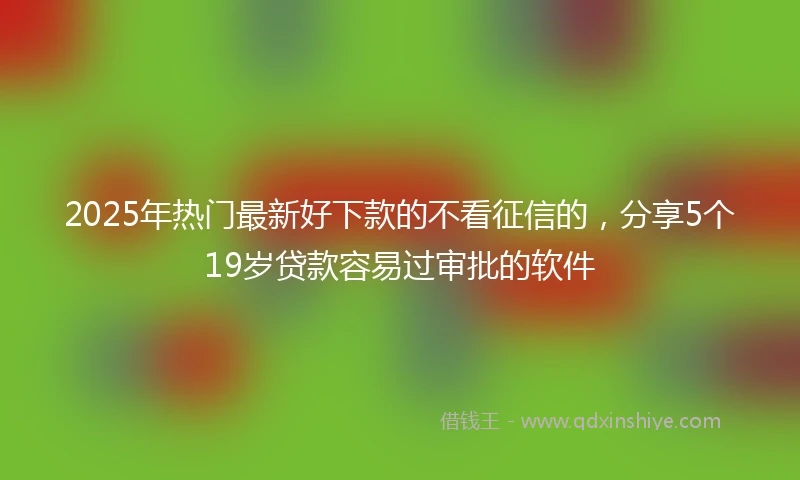 2025年热门最新好下款的不看征信的，分享5个19岁贷款容易过审批的软件