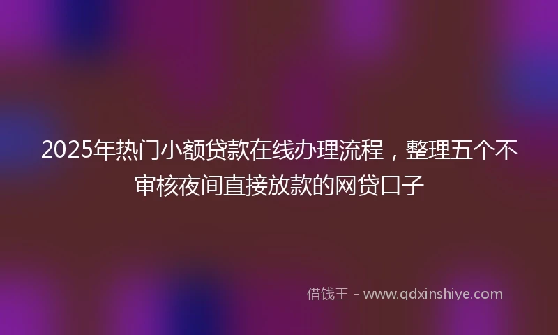 2025年热门小额贷款在线办理流程，整理五个不审核夜间直接放款的网贷口子